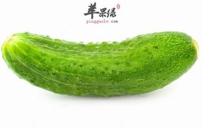 鸡蛋黄瓜苹果减肥法