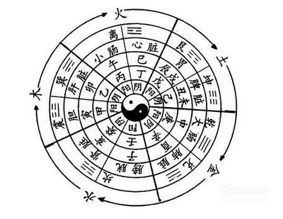 五行属木取名