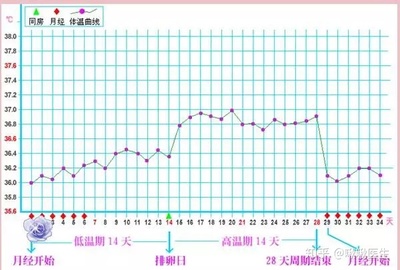 体温多少算是排卵后高温