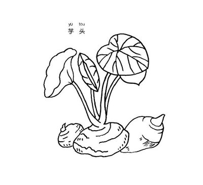 蔬菜简笔画