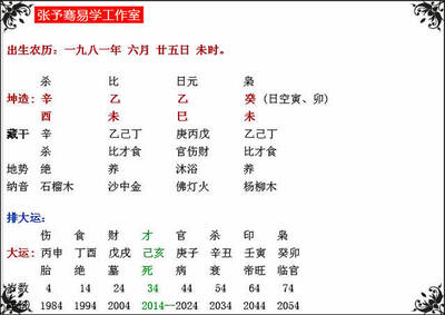依字五行属什么的