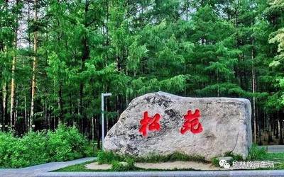 漠河3天找北追极光
