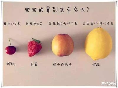 六个月的宝宝胃有多大