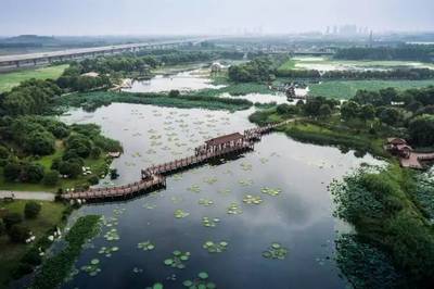 老洪港湿地公园