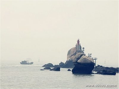 怀孕梦见鱼死了