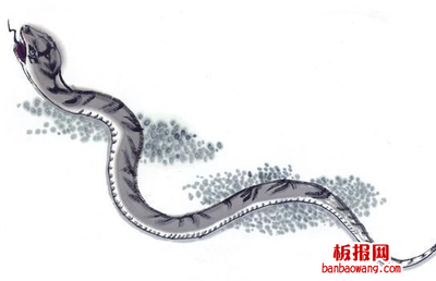 2001年属蛇什么命