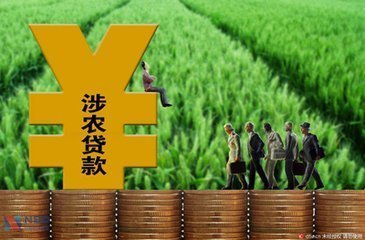 农村农业贷款