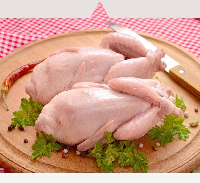 孕妇能吃鹌鹑肉