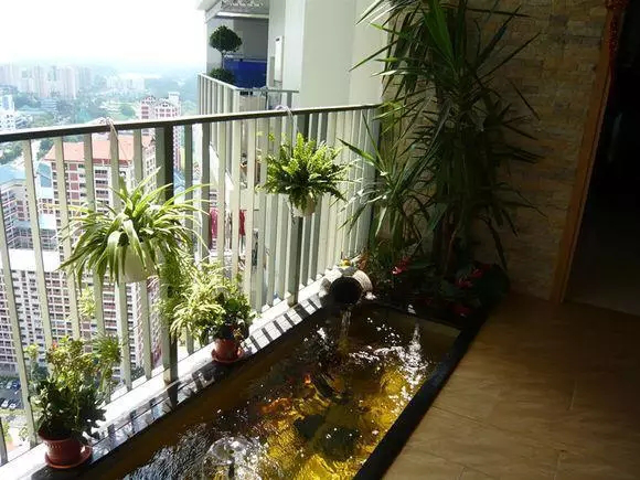 阳台养鱼池设计图