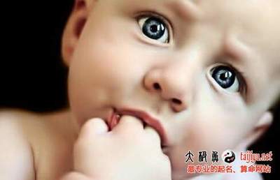 给属鸡的男宝取名大全