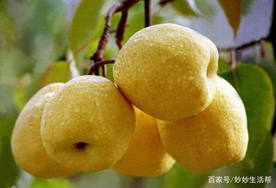 吃什么水果能消除痘痘