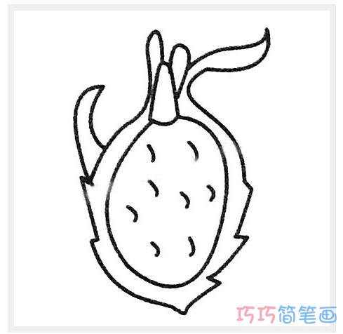 火龙果怎么画简单漂亮_火龙果简笔画图片