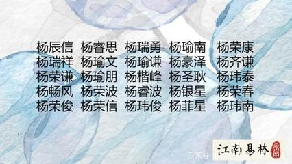 杨姓男宝宝取名大全