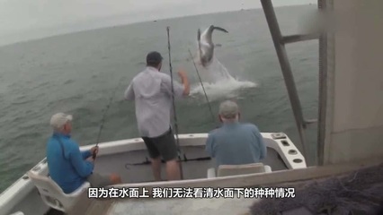 梦见钓鱼自己掉水里了