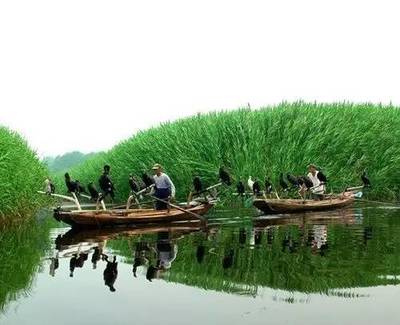 任丘有什么好玩的地方