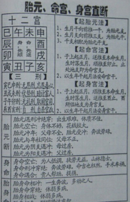 八字 命宫