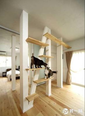 猫舍装修