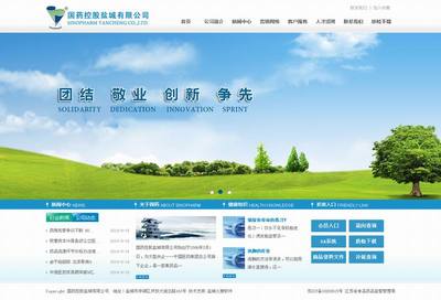 盐城最专业的网站建设公司/提供网站优化/软件开发等服务