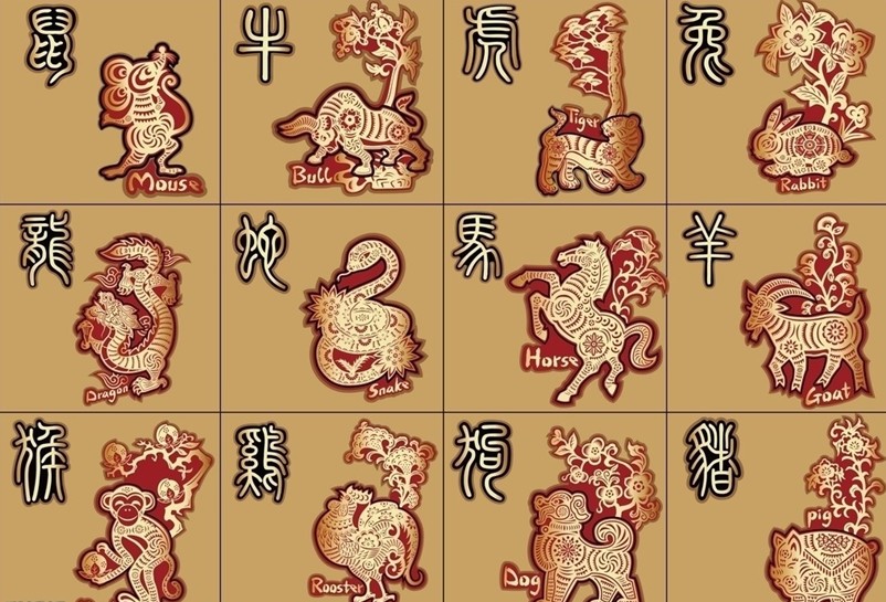 质打一生肖