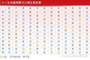 生肖婚姻配对