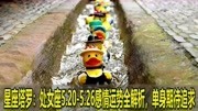 5.20号什么星座