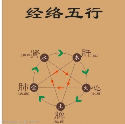 如属于五行中的什么
