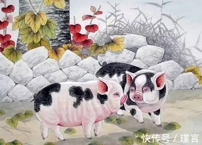 生肖猪最佳配对属相
