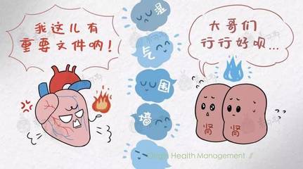 肾怕冷是怎么回事