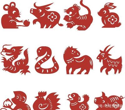 想是什么生肖