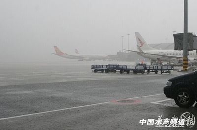 双流机场天气预报