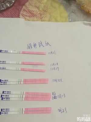 月经几天是排卵期