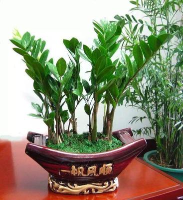 茵的寓意