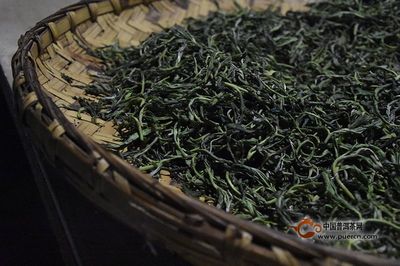 普洱春茶价格