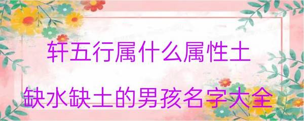 轩五行