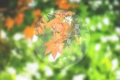 末是什么生肖