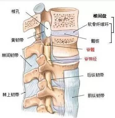 腰间盘突出压迫神经怎么治疗