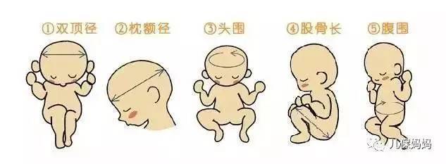 怎么测量宝宝头围
