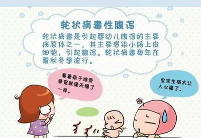 宝宝肠道细菌感染