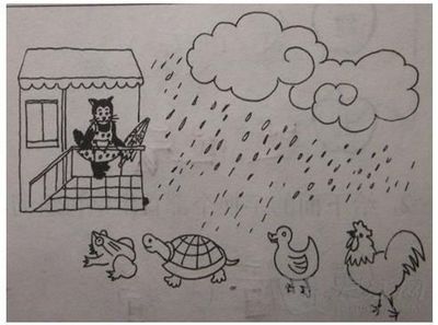 乌龟怎么避雨的