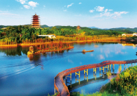最近旅游新闻