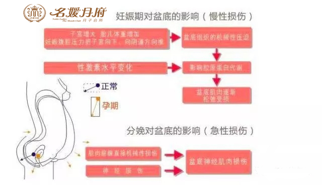 孕晚期咳嗽厉害对胎儿有影响吗