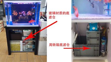 黑鉆魚缸改造（黑鉆魚缸改造方案）