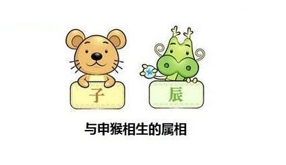 属鼠的和属虎的相克吗