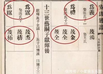 字辈是什么意思