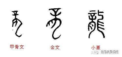 春秋生肖是什么