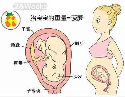 胎儿长头发