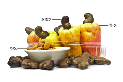 腰果仁孕妇可以吃吗