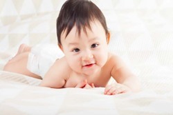 两个月胎停是什么原因
