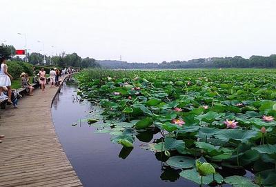 沈阳西湖