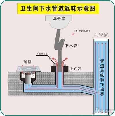 卫生间下水道结构图
